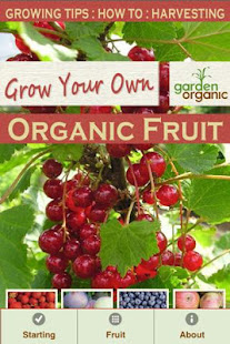 Growing Your Own Organic Fruit(圖1)-速報App