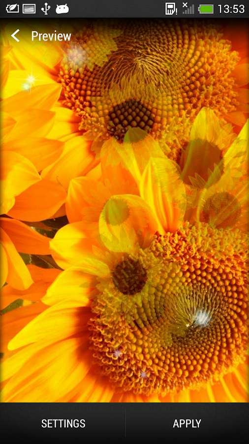 Sunflower Live Wallpaper screenshot