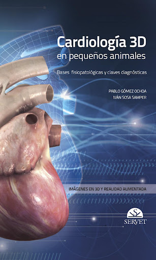 Cardiology 3D small animals 2