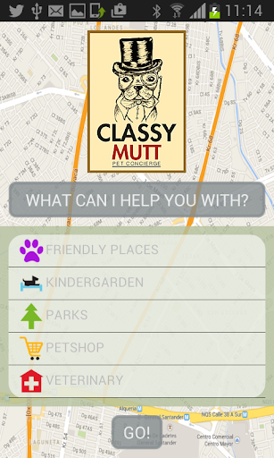 免費下載工具APP|Classy Mutt app開箱文|APP開箱王