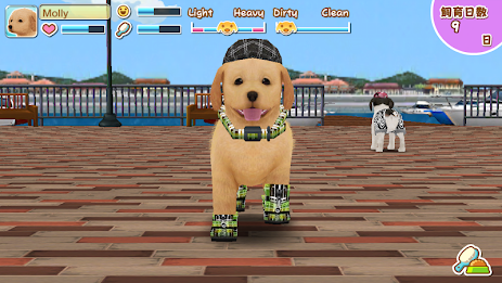 My Dog My Room 2 poster 18