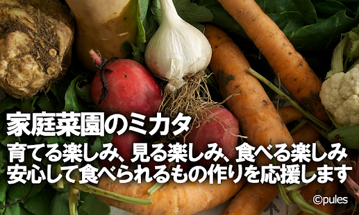 育て方、難しさがまるわかり！家庭菜園のミカタ(圖6)-速報App