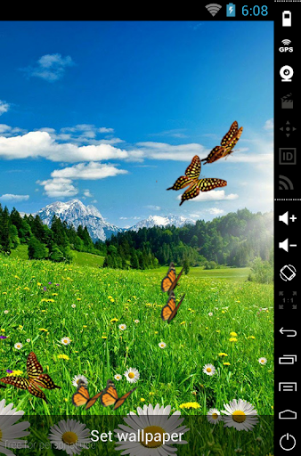 Butterfly 3D LiveWallpaper