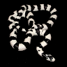 SNAKE CARE 101 Application icon