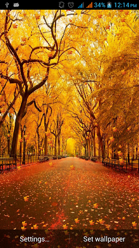 Autumn Leaves Live Wallpaper