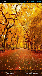 Download Autumn Leaves Live Wallpaper APK for Android