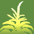 Ag Weed ID Apk