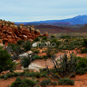 by Becky Holmes - Landscapes Deserts