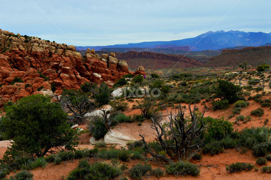 by Becky Holmes - Landscapes Deserts