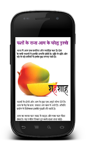 【免費健康App】Ayurvedic Remedies in Hindi-APP點子