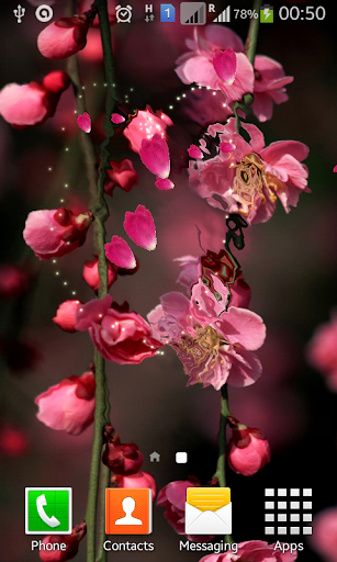 Sakura Blossom Live Wallpaper
