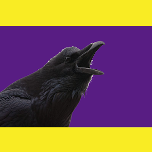 A Raven's Call - Gameday Noise.apk A