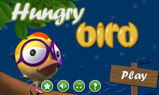 Hungry Bird - New Free Game