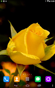 How to download Yellow Rose Live Wallpaper 1.1.1 unlimited apk for laptop