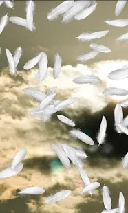 Feather Live Wallpaper Trial(圖3)-速報App