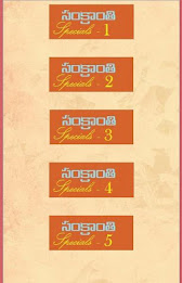 Sankranthi Vantakalu poster 9