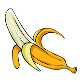 The insult Generator