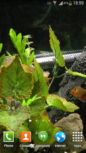 Fish Live Wallpaper HD 2(圖4)-速報App