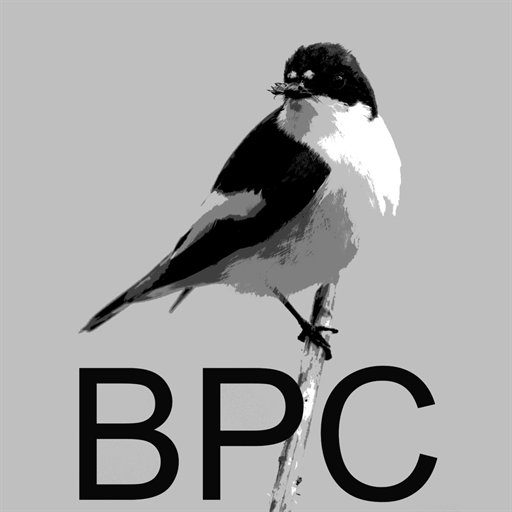 Bird Photography Courses 商業 App LOGO-APP開箱王