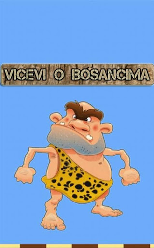 Vicevi o Bosancima