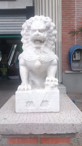 Estatua Perro Fu