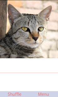 How to mod AllCatsPuzzle lastet apk for pc