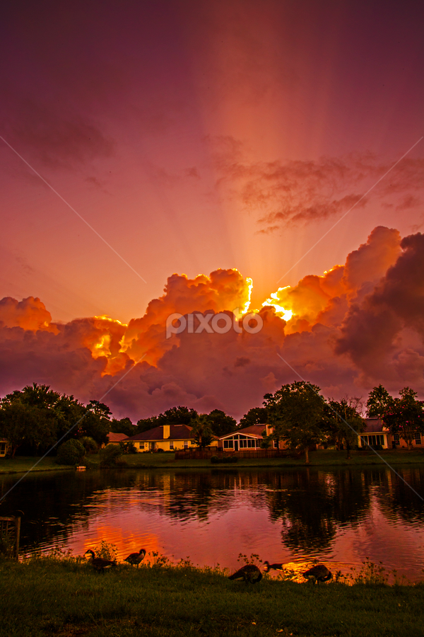 by Kemal Bajagilovic - Uncategorized All Uncategorized