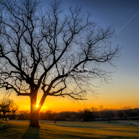 Split Sun by Randell Whitworth - Landscapes Sunsets & Sunrises