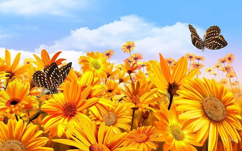 download Nature Wallpaper free