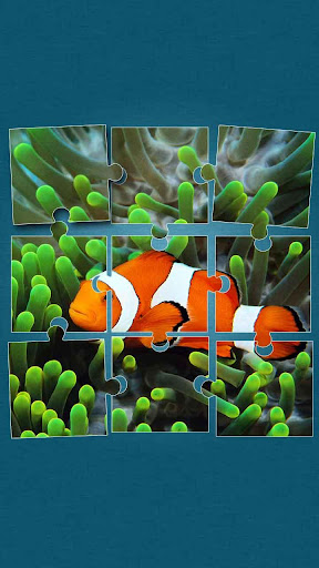 海の動物 パズルゲーム - シーライフ