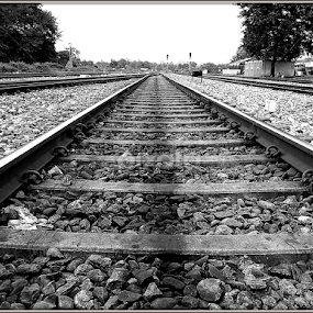 Track of Life by Subhadeep Das - Transportation Railway Tracks