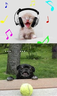 How to download CoolPix lastet apk for laptop