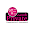 Private Events Tanger Download on Windows