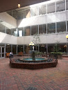 Fountain at the Vanderbilt Clinic