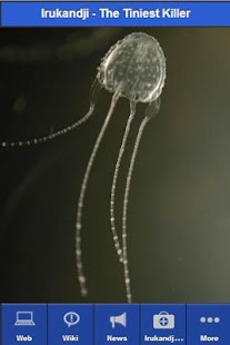 Irukandji - Deadly Jellyfish