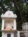Buddha Statue And Bo Tree At Bodhiraja Temple