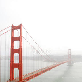 Golden Gate View by Alyce Bender - Buildings & Architecture Bridges & Suspended Structures