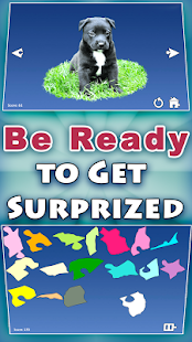 Shape Puzzles Pro - Assemble(圖2)-速報App