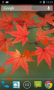 Free Download Maple Leaf Live Wallpaper APK for PC