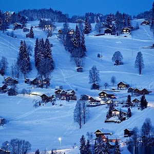 Winter Live Wallpaper 4.8