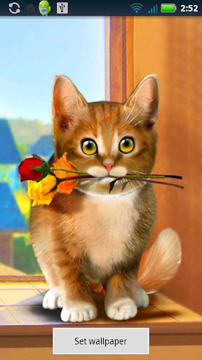 Valentine Cat Live Wallpaper