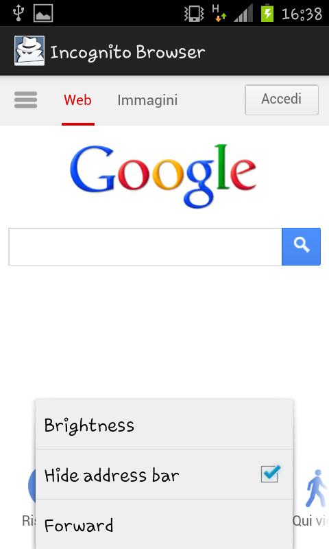 Incognito Browser Screen 2