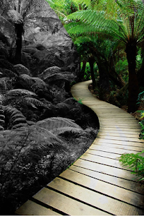 Photo Magic Screenshots 12