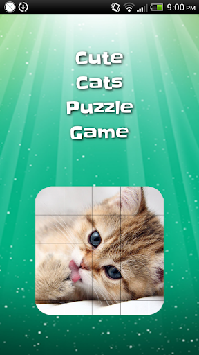 【免費解謎App】Cute Cat Sliding Puzzle-APP點子