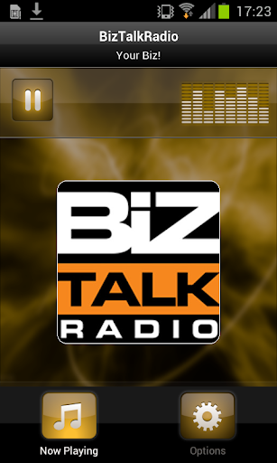 Biz Talk Radio