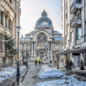 CEC Bank by Victor Radulescu - City,  Street & Park Historic Districts