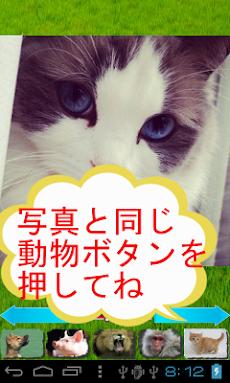 動物の鳴き声絵本 どうぶつ絵合わせ Androidアプリ Applion