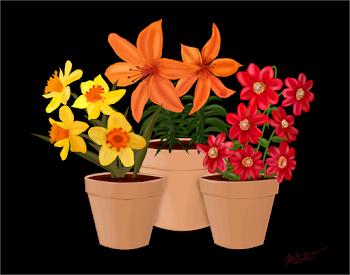 Flower Family