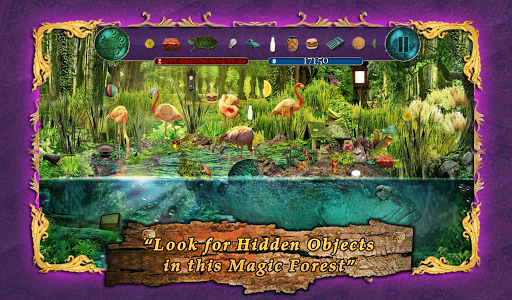 Hidden Object - Magic Forest