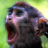 by Renos Hadjikyriacou -  